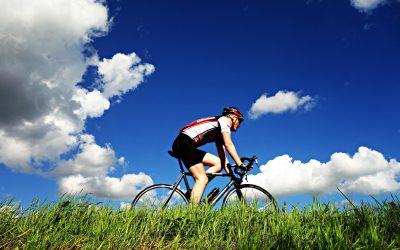 Waar u op moet letten bij het controleren van ligfietsrecensies
