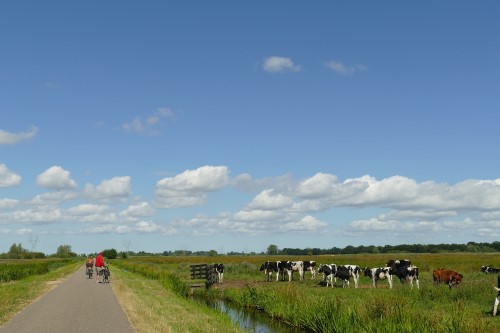 Hoogtepunten van fietsen in Gelderland