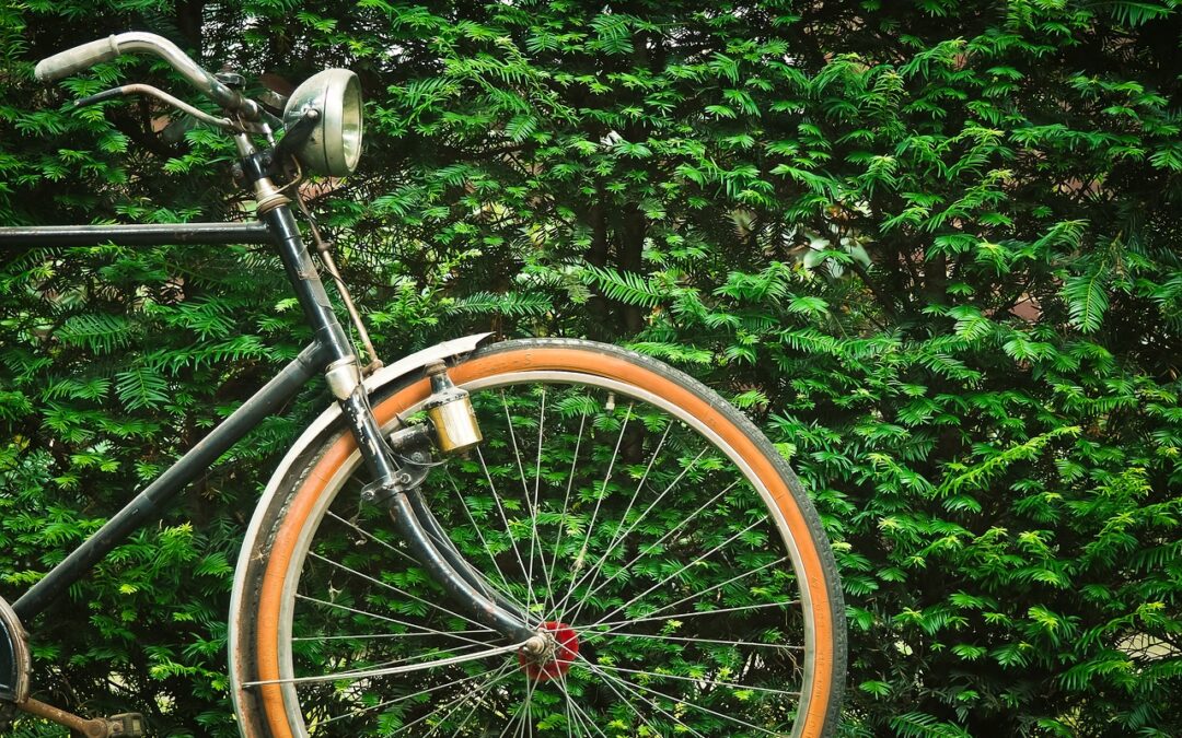 Fietsen met een hernia tips, adviezen en wat je moet vermijden